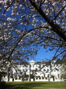 Park Crescent spring